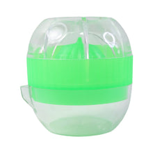 Fruit Juicer